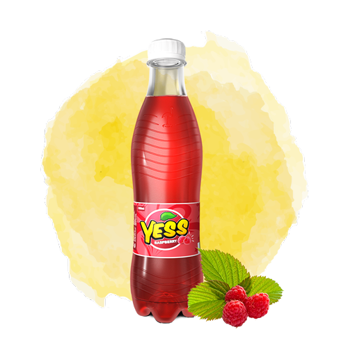 YESS Raspberry